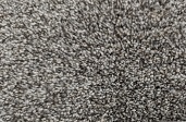 Carpet One